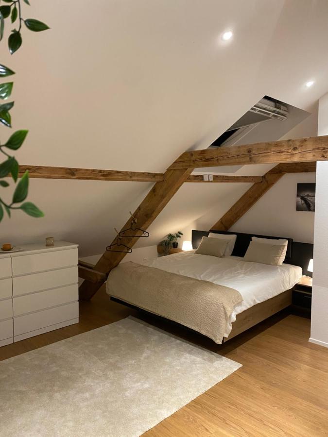 Eine Schoene Wohnung An Der Birs Basel Exterior photo