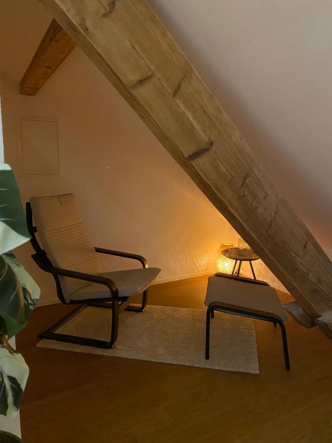 Eine Schoene Wohnung An Der Birs Basel Exterior photo