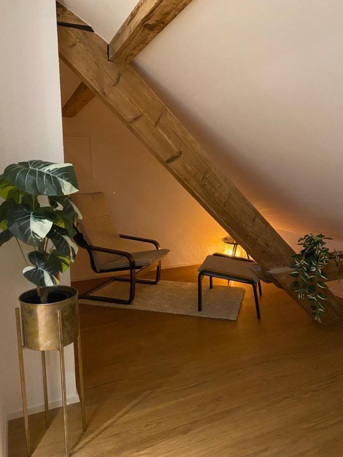 Eine Schone Wohnung An Der Birs Basel Exterior photo