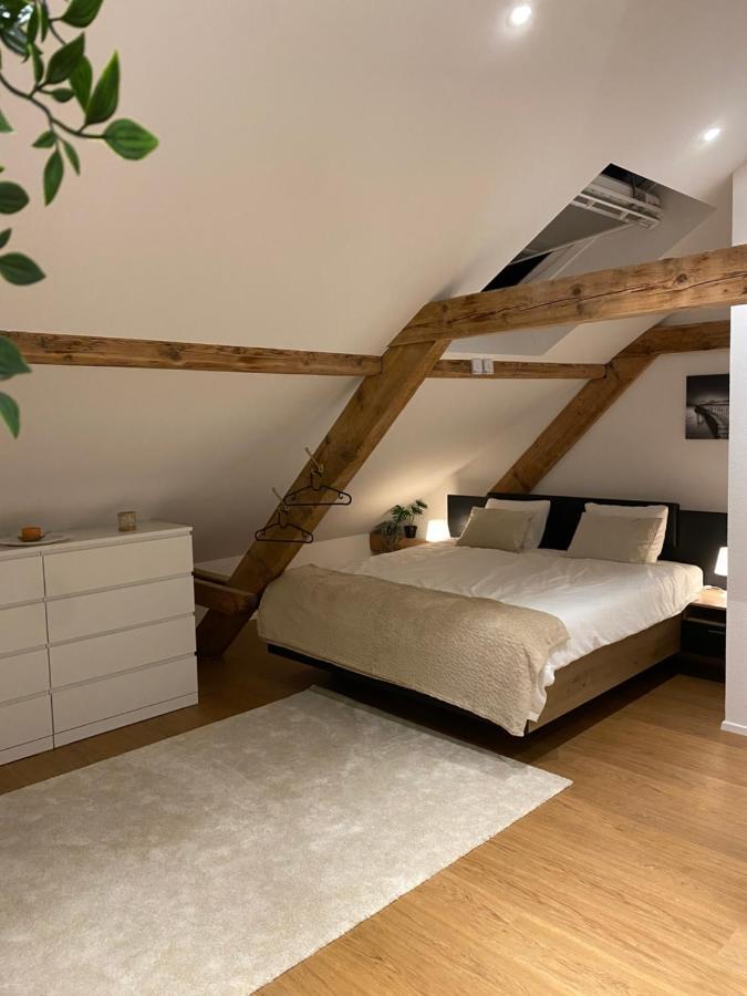 Eine Schoene Wohnung An Der Birs Basel Exterior photo